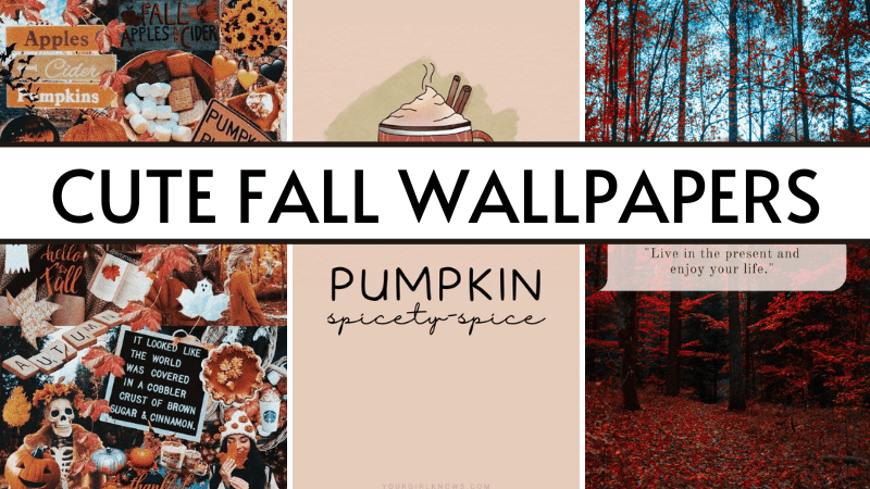 featured image cute iphone fall wallpapers