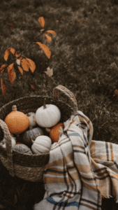 39 Insanely Cute IPhone Fall Wallpapers To Set The Mood! (2026)
