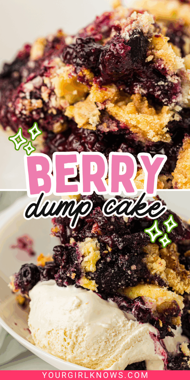 The 5-Ingredient Berry Dump Cake That Feels Like Cheating On Baking ...