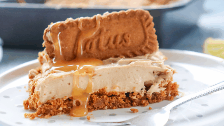 Yummiest No-Bake Biscoff Cheesecake That Tastes Way Too Good for How Easy It Is