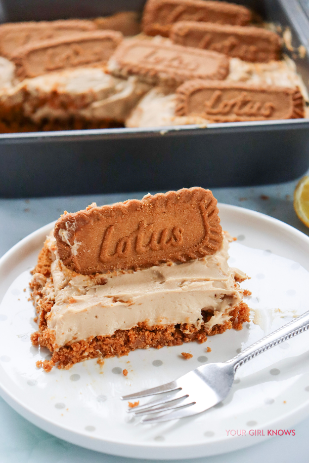 Yummiest No-Bake Biscoff Cheesecake That Tastes Way Too Good for How Easy It Is Yummiest No-Bake Biscoff Cheesecake That Tastes Way Too Good for How Easy It Is
