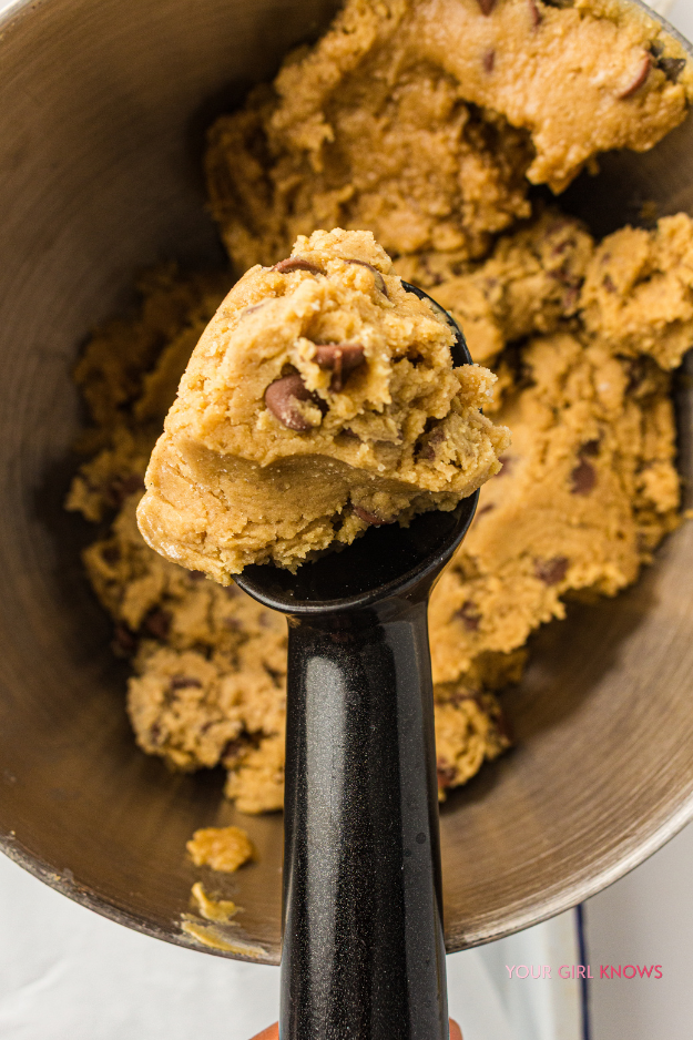 Soft & Chewy Sourdough Chocolate Chip Cookies Using Sourdough Discard Soft & Chewy Sourdough Chocolate Chip Cookies Using Sourdough Discard