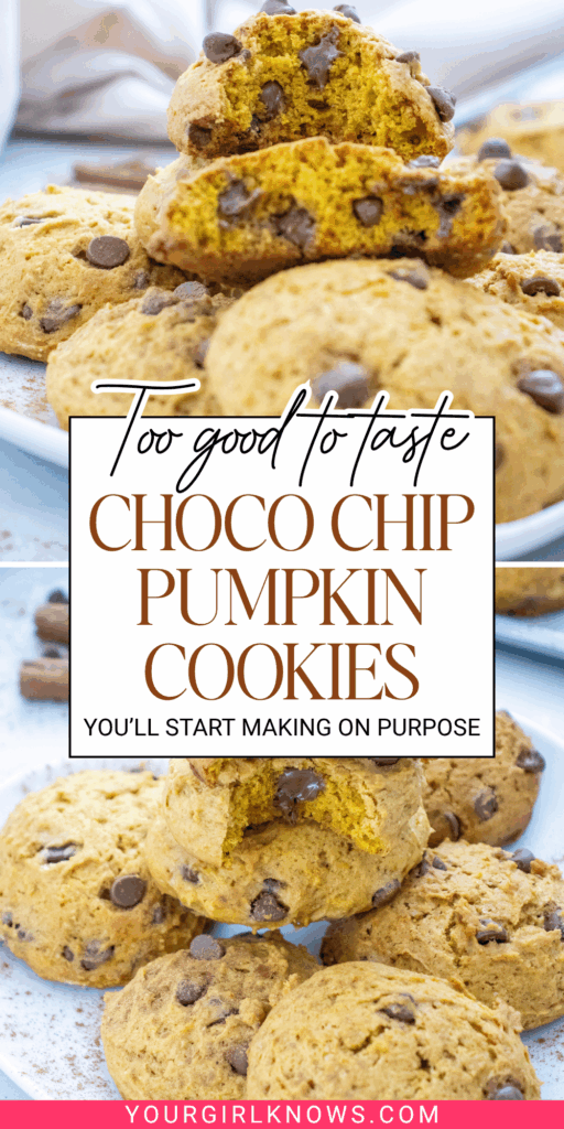 Easy Chocolate Chip Pumpkin Cookies That Taste Like Peak Fall Baking Easy Chocolate Chip Pumpkin Cookies That Taste Like Peak Fall Baking