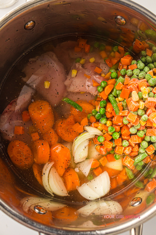The One-Pot Chicken & Vegetable Soup You'll Crave All Soup Season Long The One-Pot Chicken & Vegetable Soup You'll Crave All Soup Season Long