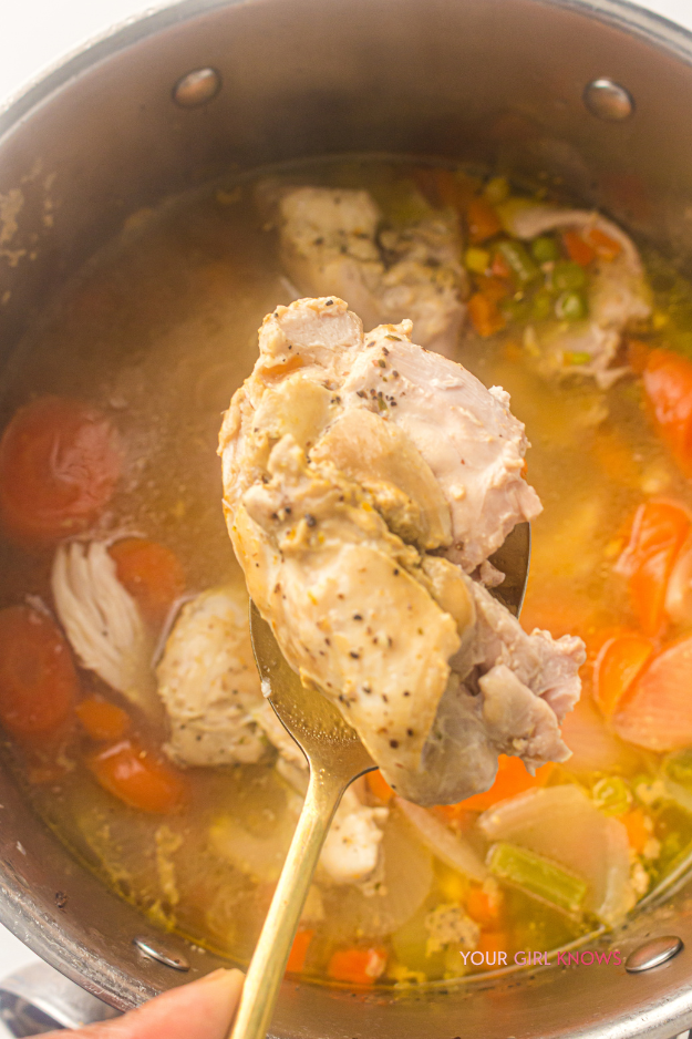 The One-Pot Chicken & Vegetable Soup You'll Crave All Soup Season Long The One-Pot Chicken & Vegetable Soup You'll Crave All Soup Season Long