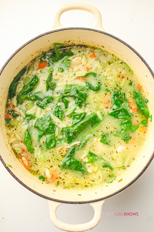 This Lemon Chicken Orzo Soup That Makes a Chilly Evening Feel So Much Better This Lemon Chicken Orzo Soup That Makes a Chilly Evening Feel So Much Better